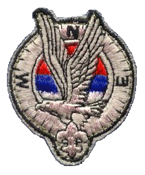 [Silver Award Badge - 1965]